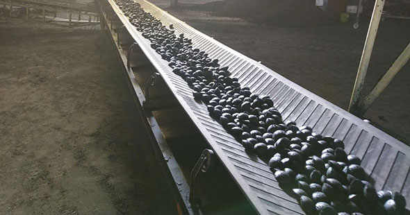 ����C���÷���